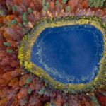 Autumn in Pomerania, north side of Poland. Forest located in Region of Kashubia.