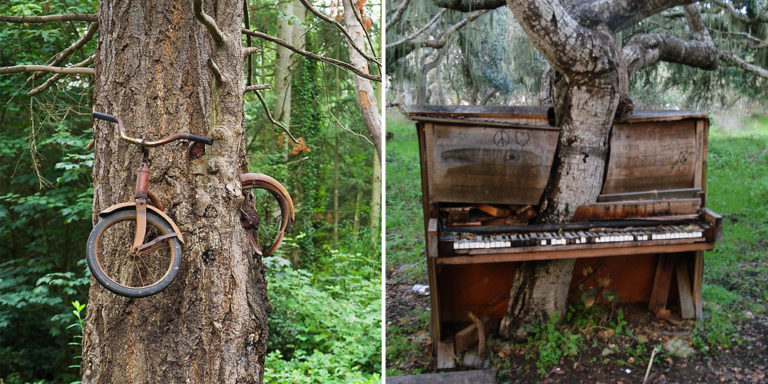 Natura wygrywa z cywilizacją.