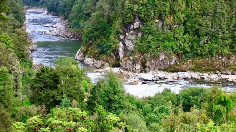 Nowa Zelandia zatwierdza największy rozkwit w historii Parku Narodowego. Powiększyli granice tysiące razy.